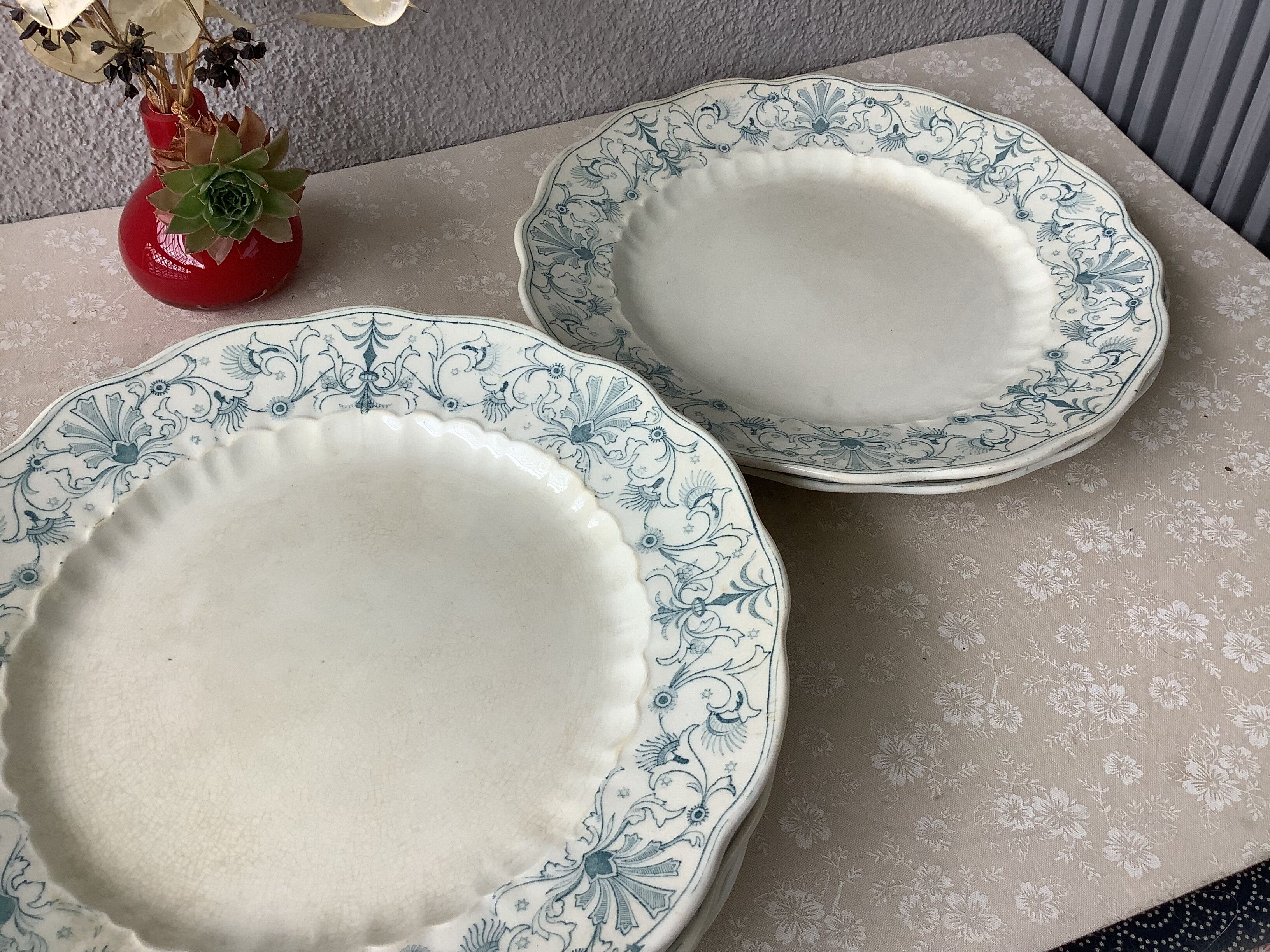 Ridgways 19th century English ironstone plates