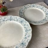 Ridgways 19th century English ironstone plates