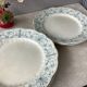 Ridgways 19th century English ironstone plates