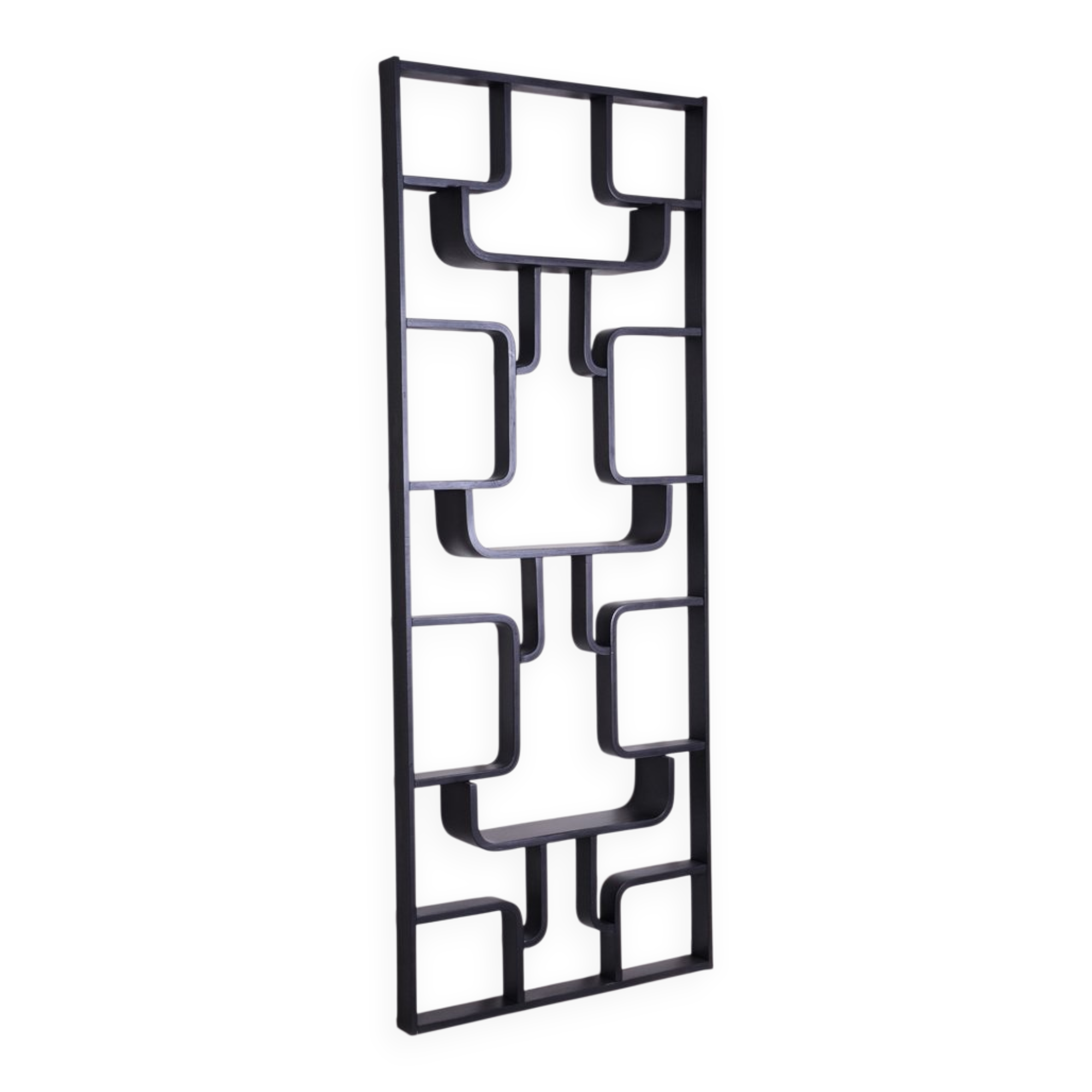 Mid-Century Room Divider Wall Unit by Ludvik Volak for Drevopodnik Holesov, 1960s