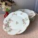 Plates Haviland Limoges 1900 - floral decoration liberty