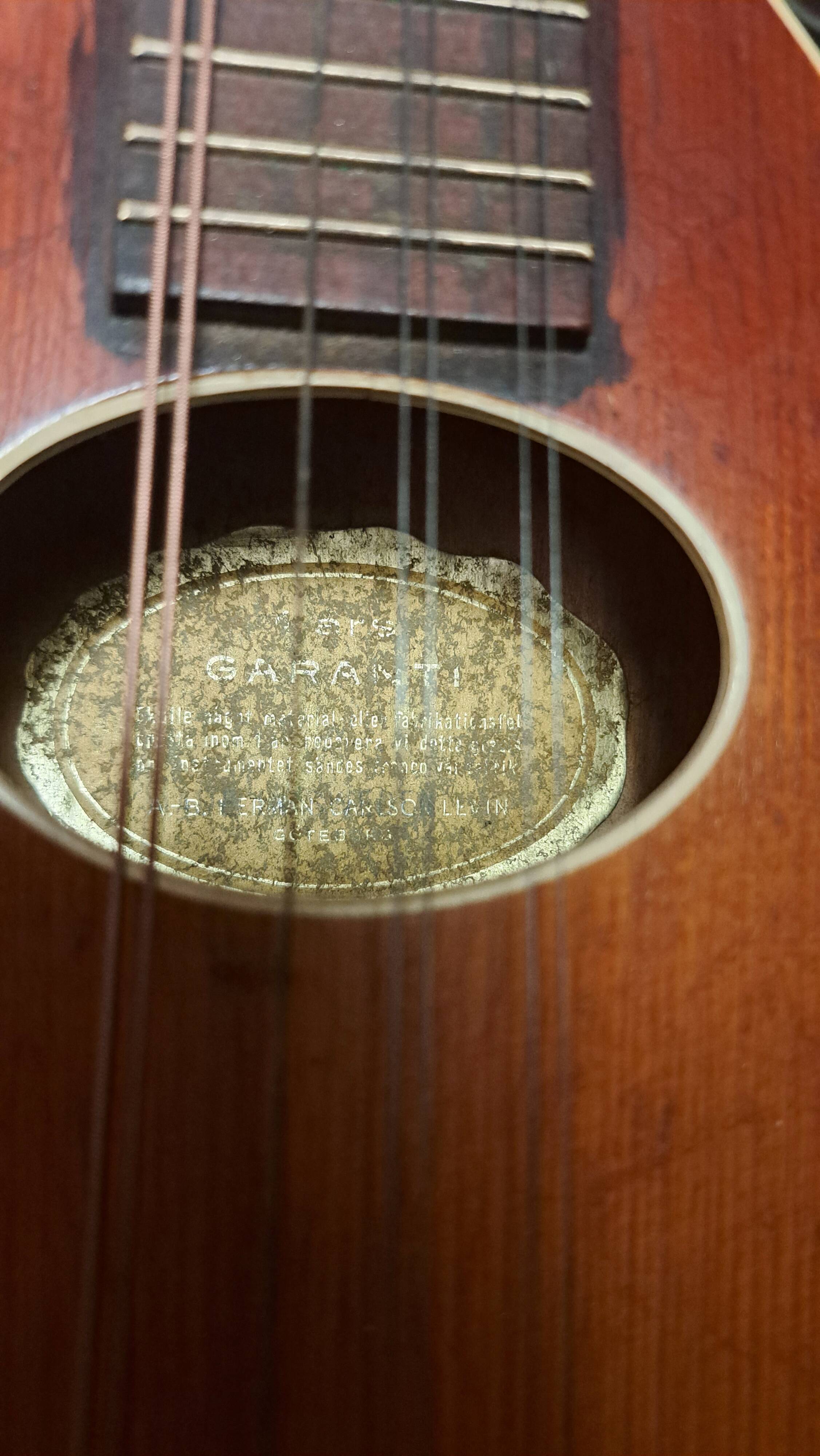 Levin high-end antique mandolin with flat bottom