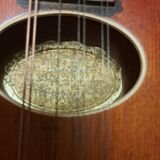 Levin high-end antique mandolin with flat bottom