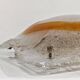 Mid Century Modern wall lamp or ceiling light by Mazzega 1970s