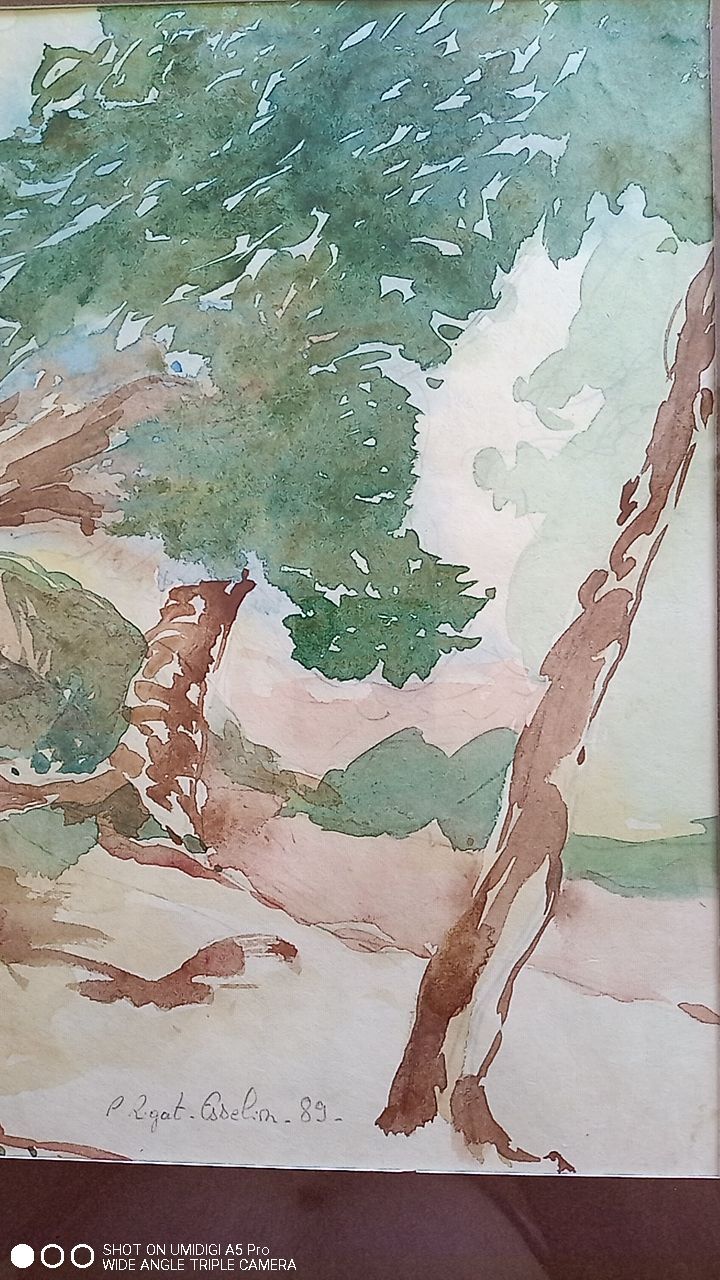 Pascale Rigat-Esselin (born in 1952) - watercolor - 32 x 48 cm - signed, dated 89