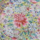 Small flat plate in Asian porcelain.