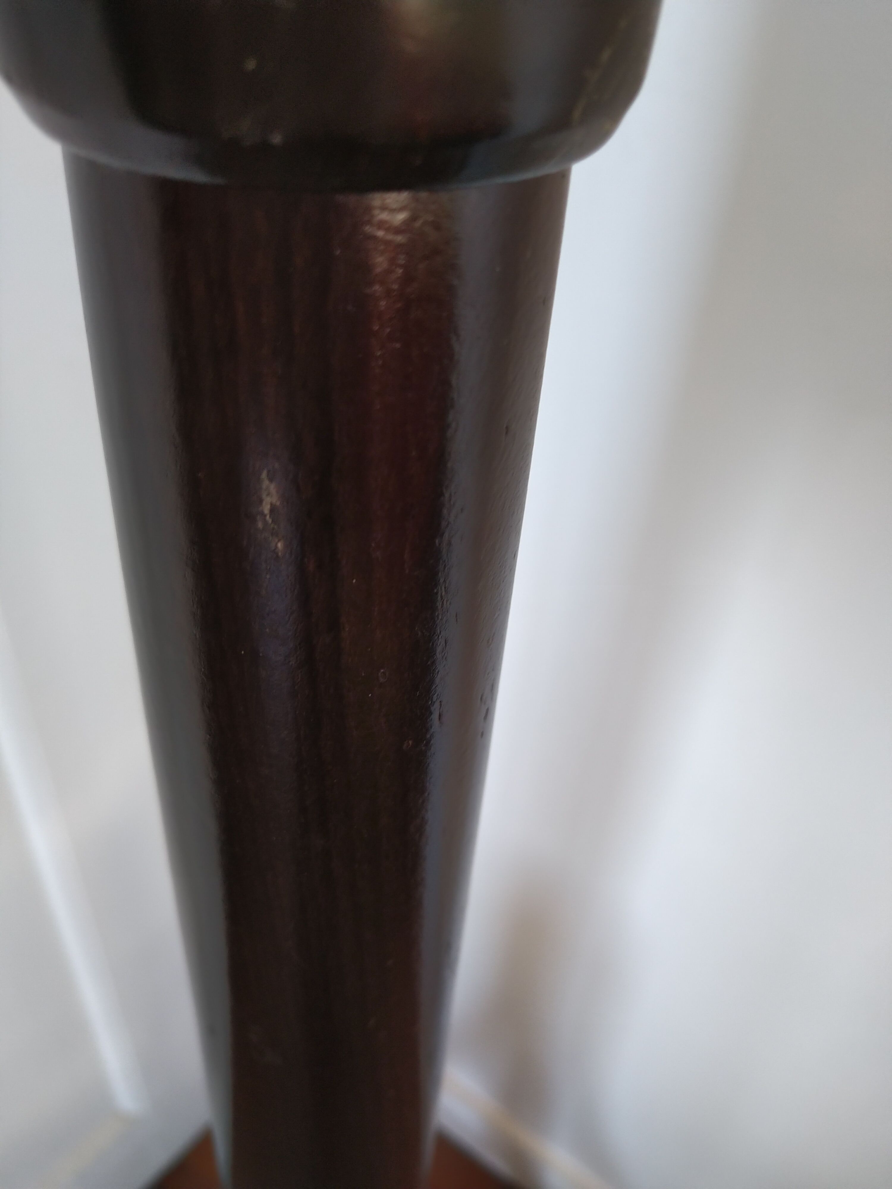 Baumann parrot coat holder