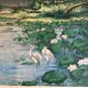 Ancient ESTAMPE of ASIA with Polychrome Decoration of Natural Landscape and Herons, XIXth