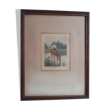 Photoengravure woman on horseback