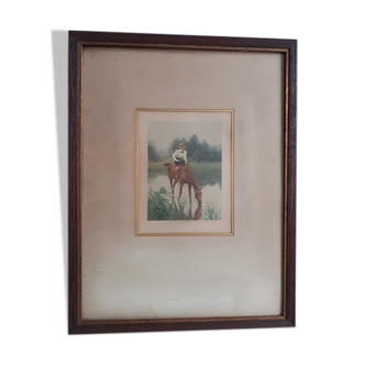 Photogravure  femme à cheval