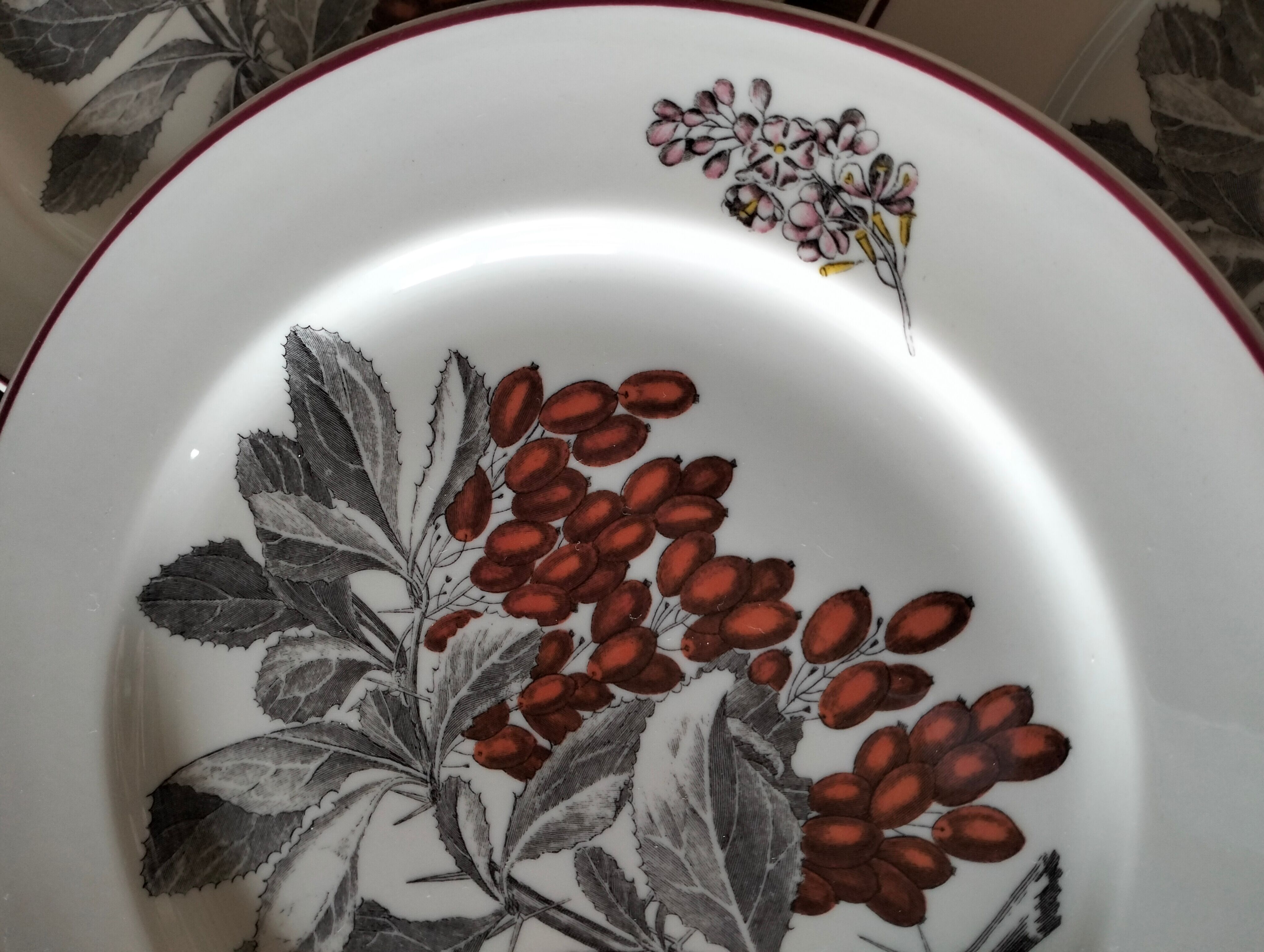 Villeroy & Boch plates