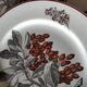Villeroy & Boch plates