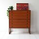 Danish teak chest of drawers from the 1960s by Arne Wahl Iversen