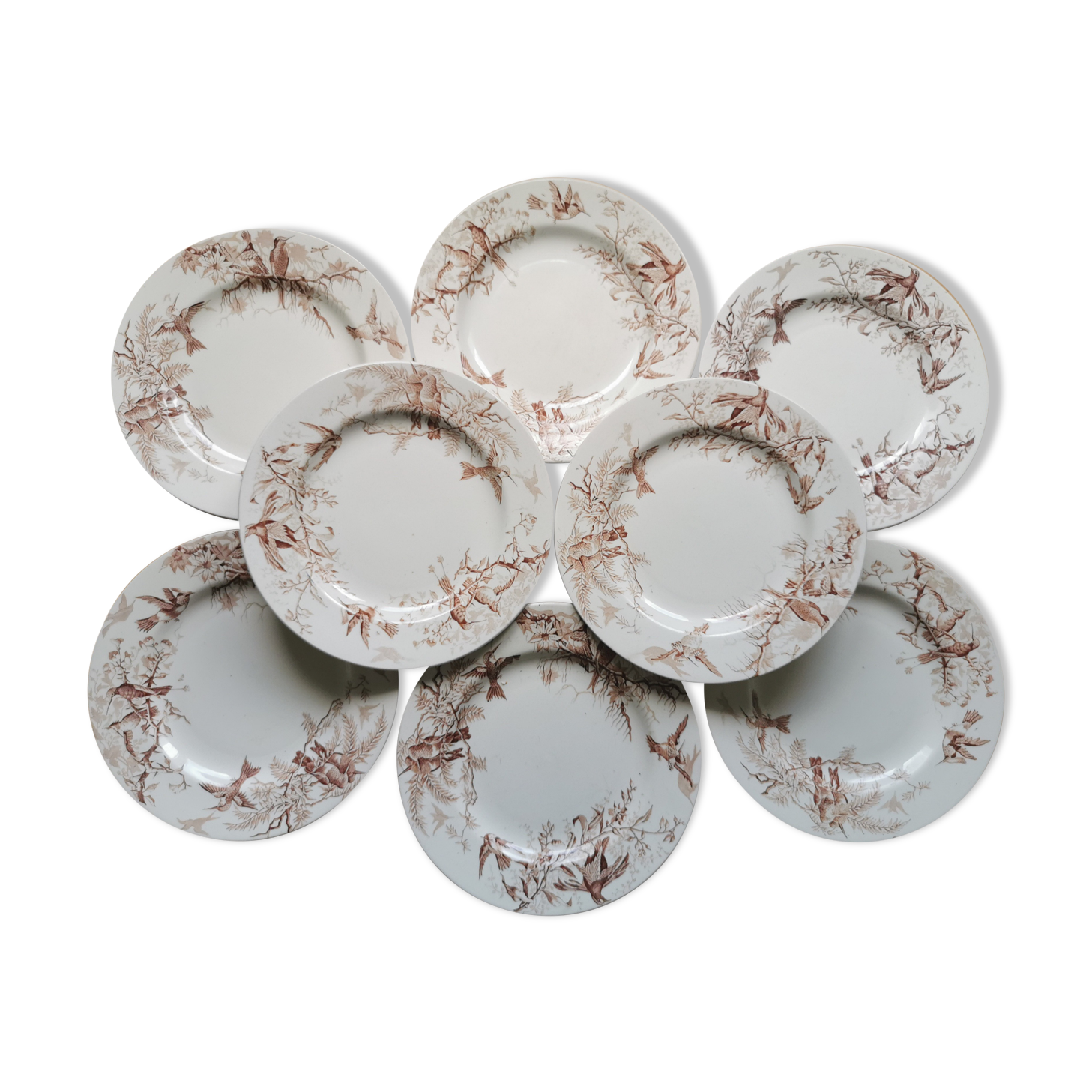 Lot of 8 Colibri luneville plates