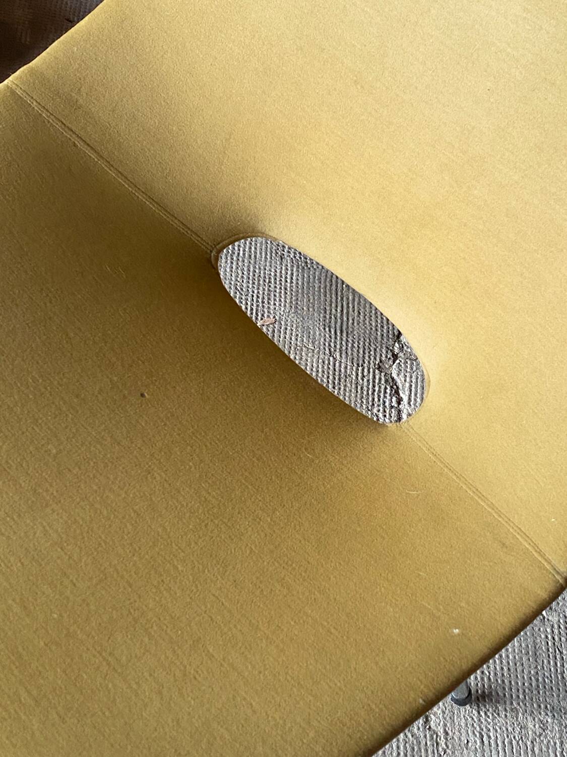 Barrel chair by Pierre Guariche