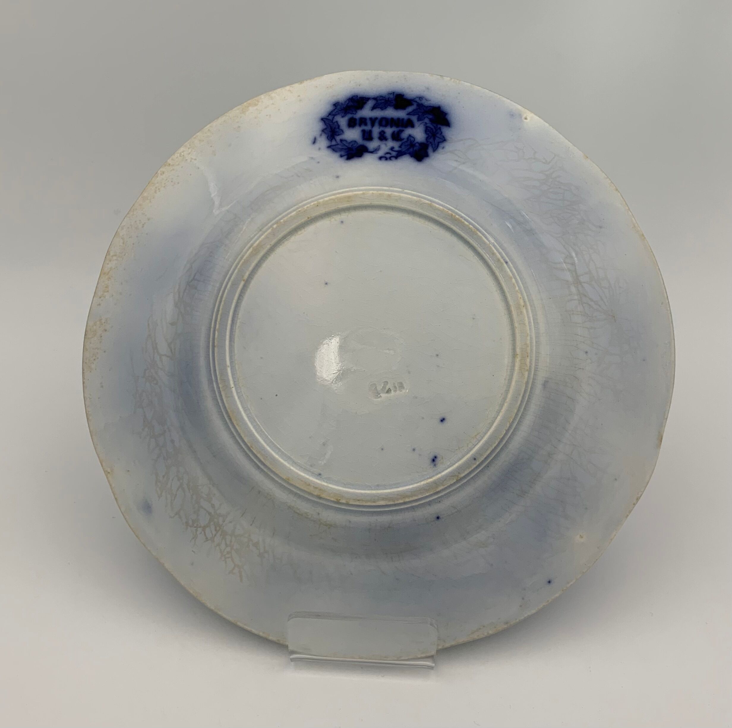 Old earthenware plate SARREGUEMINES, Bryonia model - Late 19th century