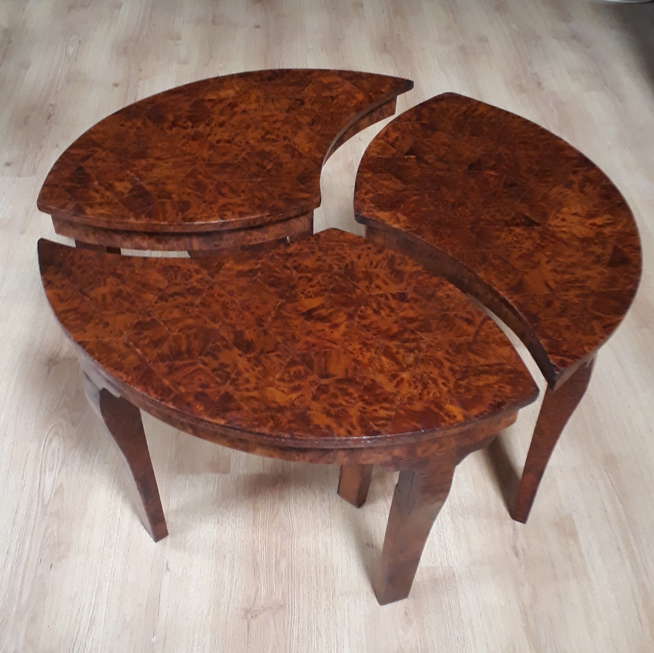 Coffee table in thuya magnifying glass 1960