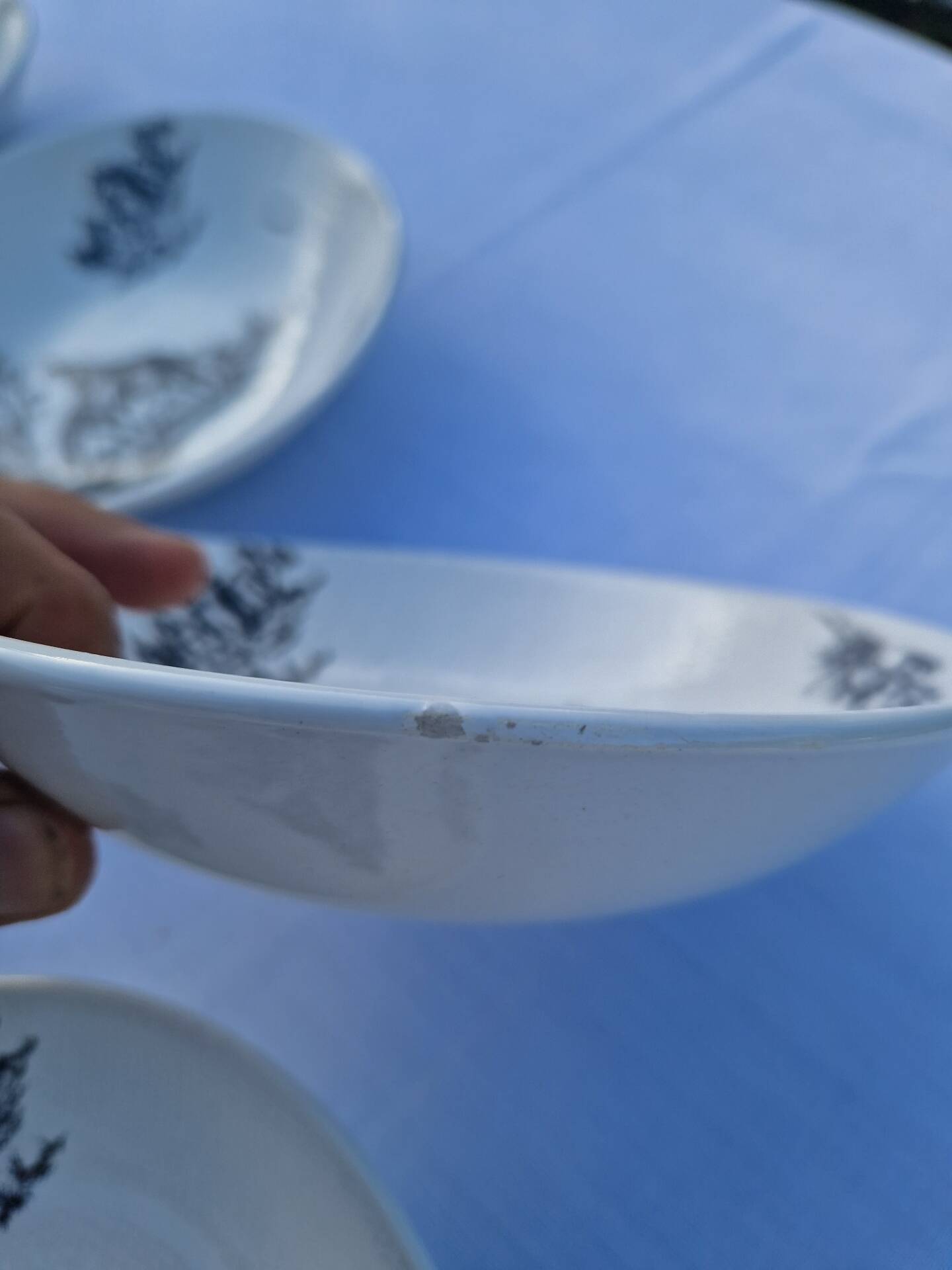 Assiettes Creuses Ou Bols Salins Modèle Pastorale