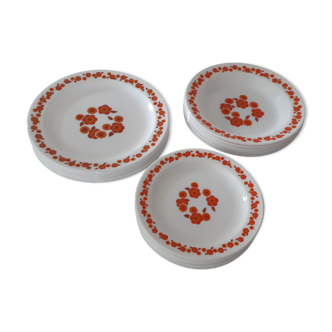 18 plates lotus arcopal france vintage orange flowers