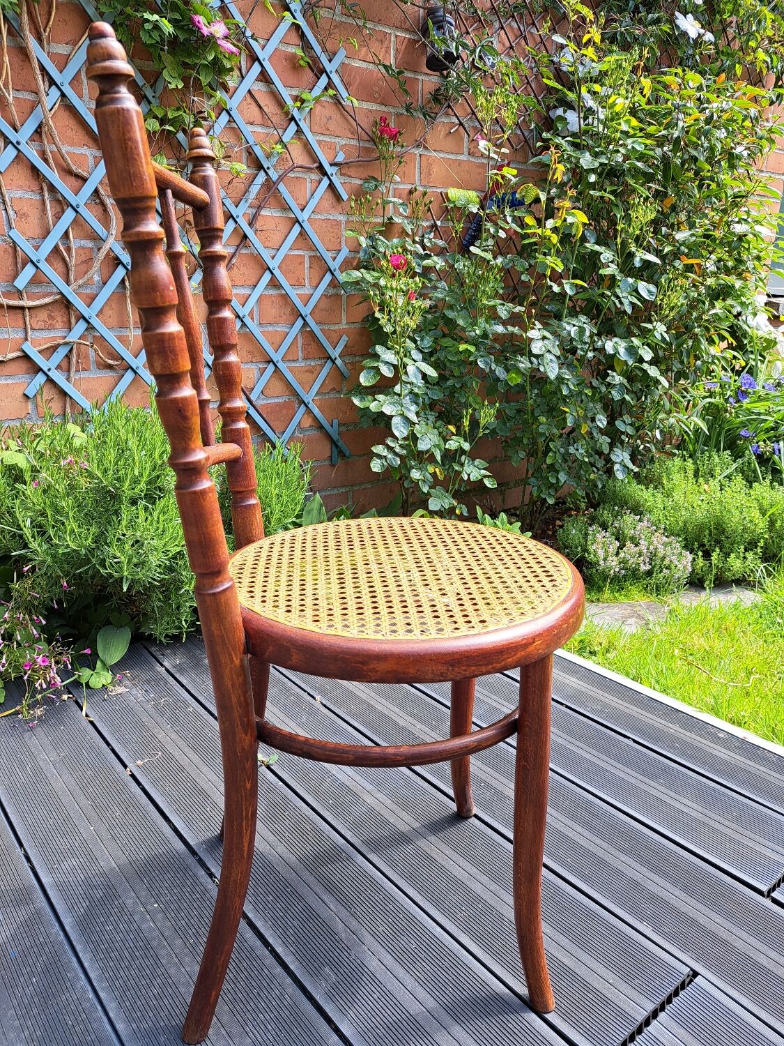 Set of 6 Fischel chairs in cane wood