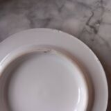 Parrot tea room