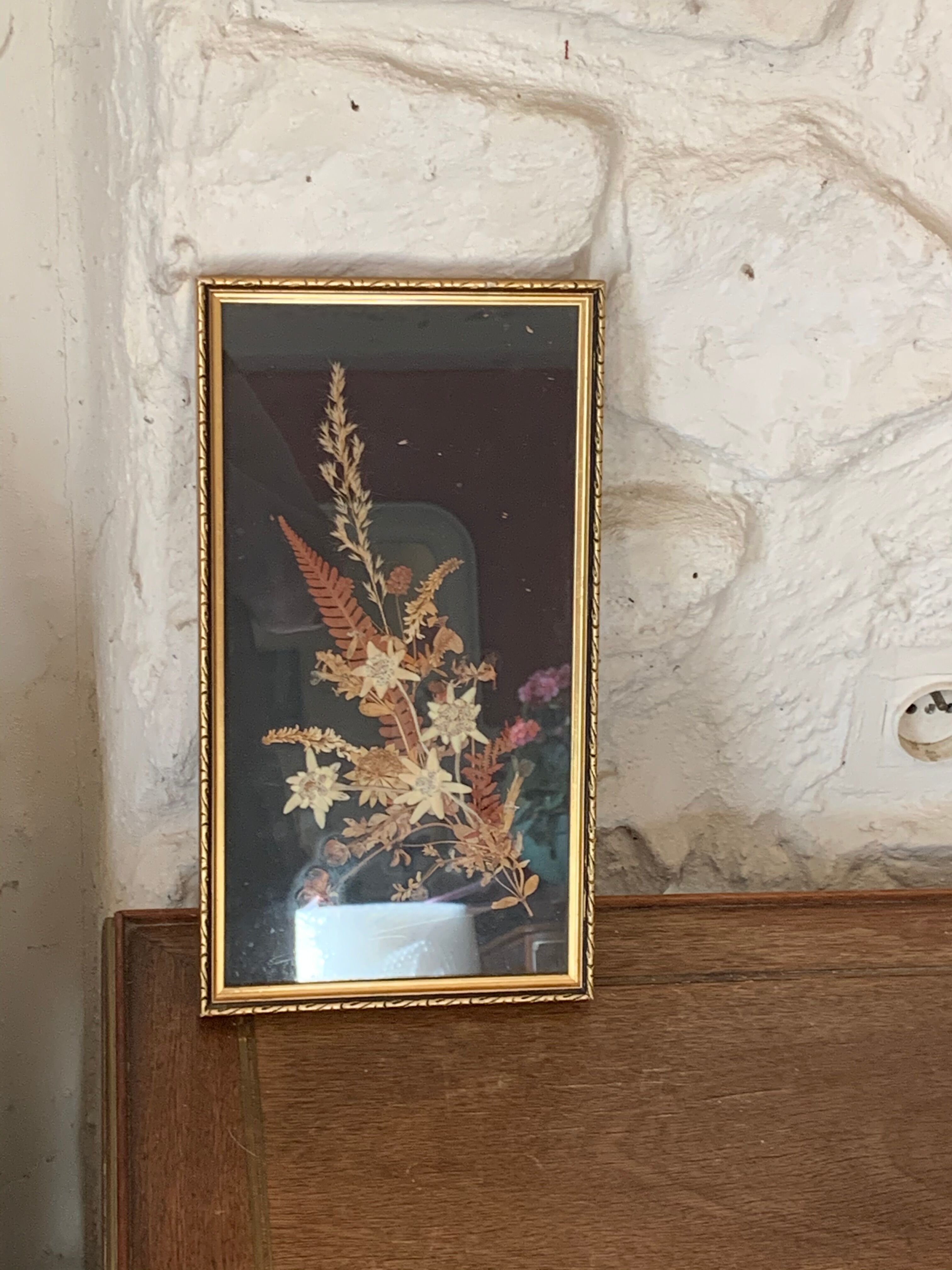 Cadre herbier fleurs séchées et edelweiss vintage