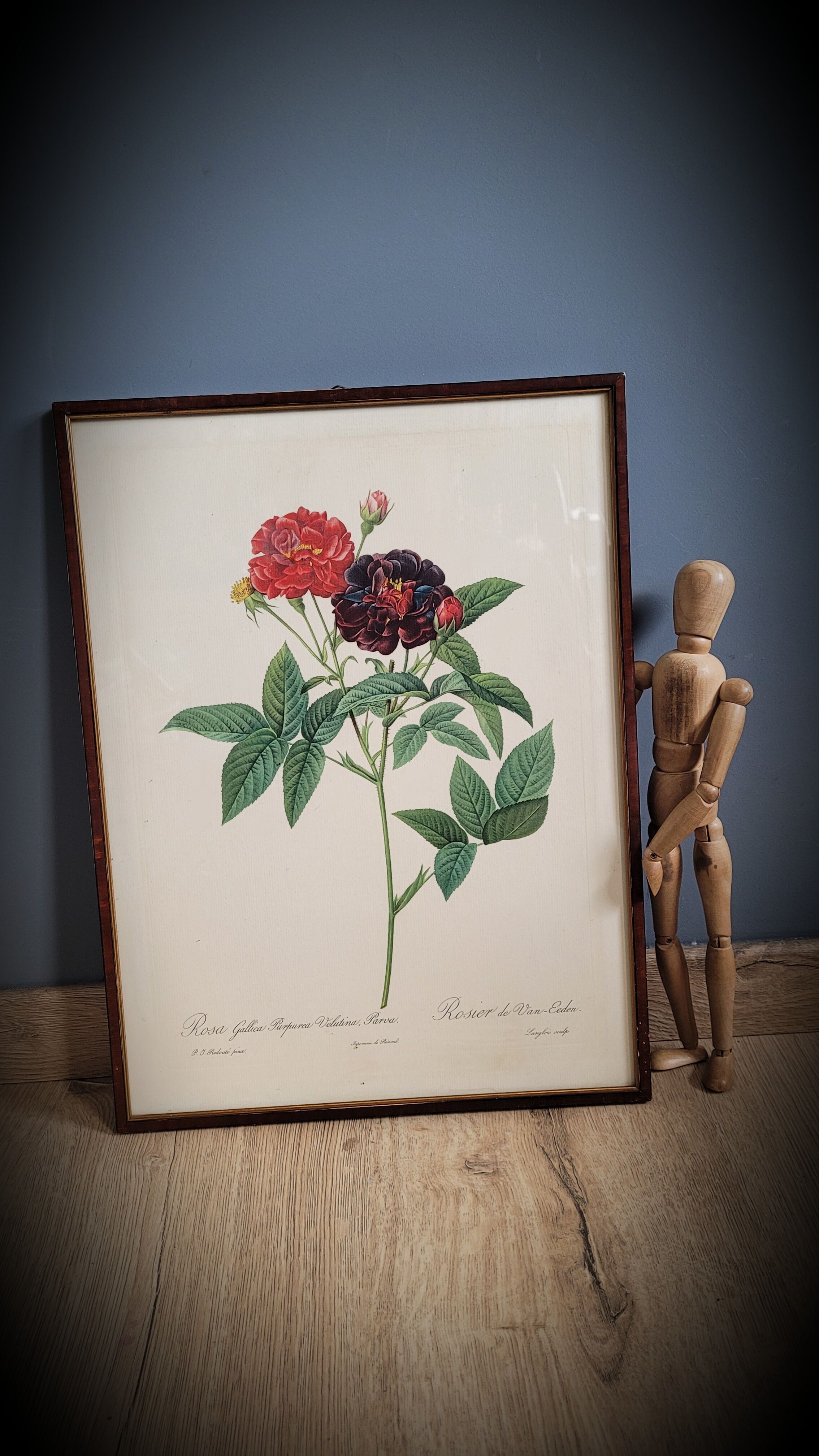 Lithograph frame rose Van Eeden