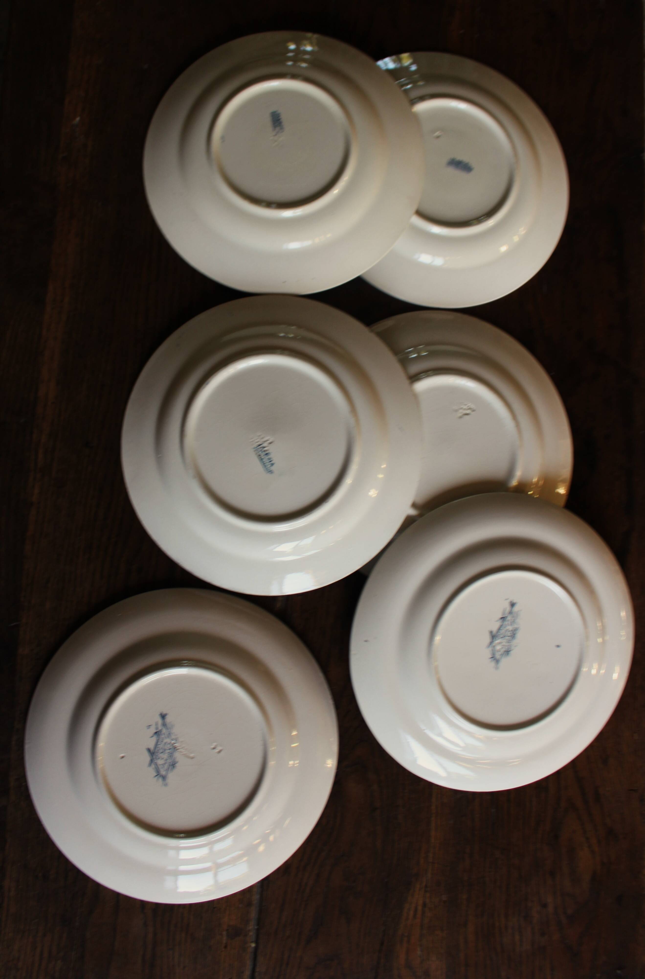 6 Terre de Fer blue Marcel Alésia Exotic Longchamp plates