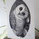 "Night bird" China ink on paper