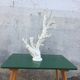 Coral branch 46 x 31 cm on alabaster marble base