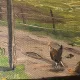 Vintage Farmhouse Landscape Oil Painting