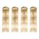 Modern Transparent “Tronchi” Wall Sconce Collection — Set of 4