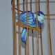 Lustre suspension cage à oiseaux vintage