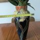 Art Nouveau vase in glazed ceramic, floral decoration, Gouda type, circa