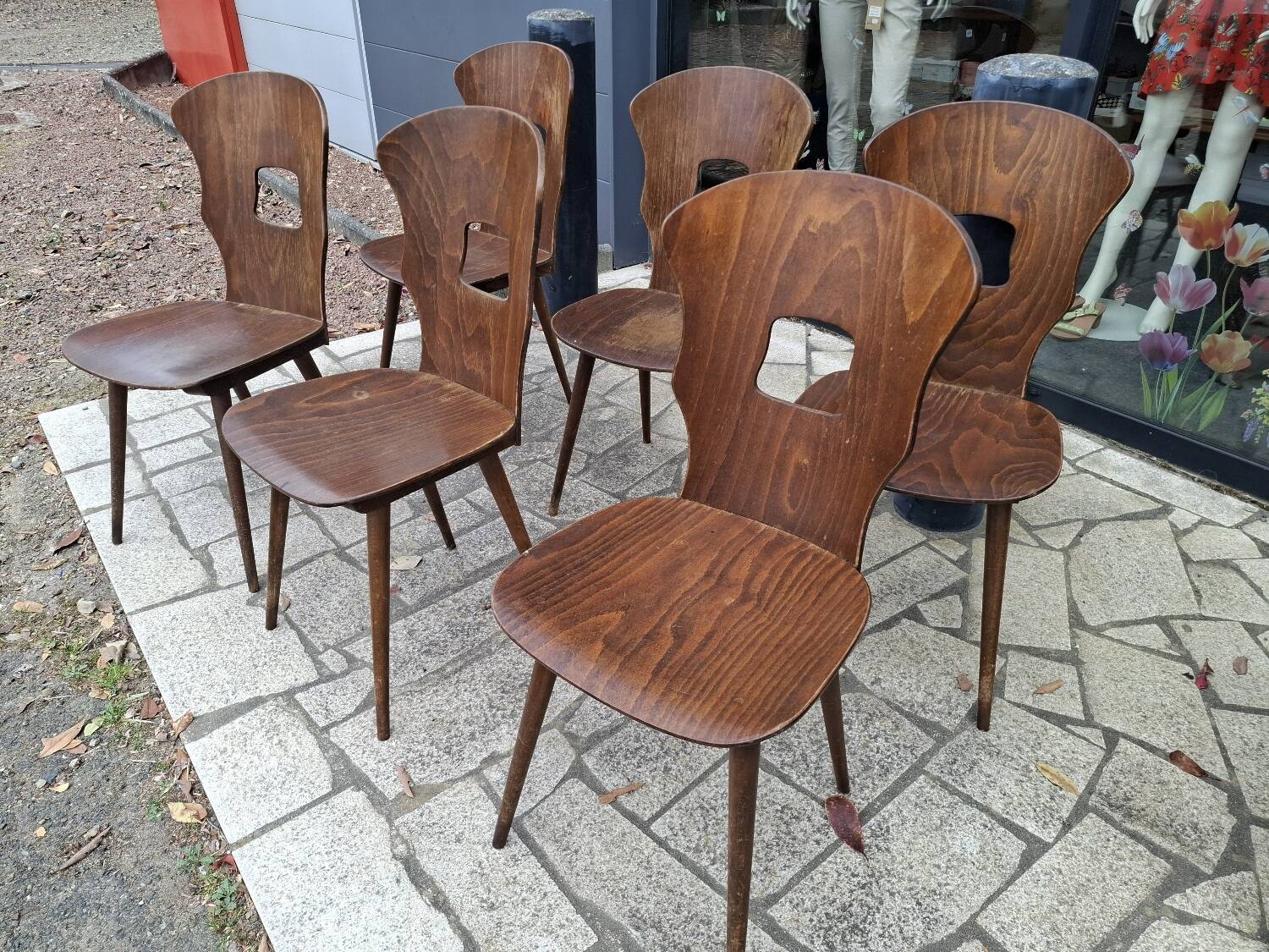 Lot of 12 Baumann chairs model Gentiane.