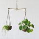 Hanging scales, antique brass and copper scales, hanging basket