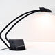 Lampe, Fase, 1980
