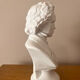 Beethoven bust in porcelain