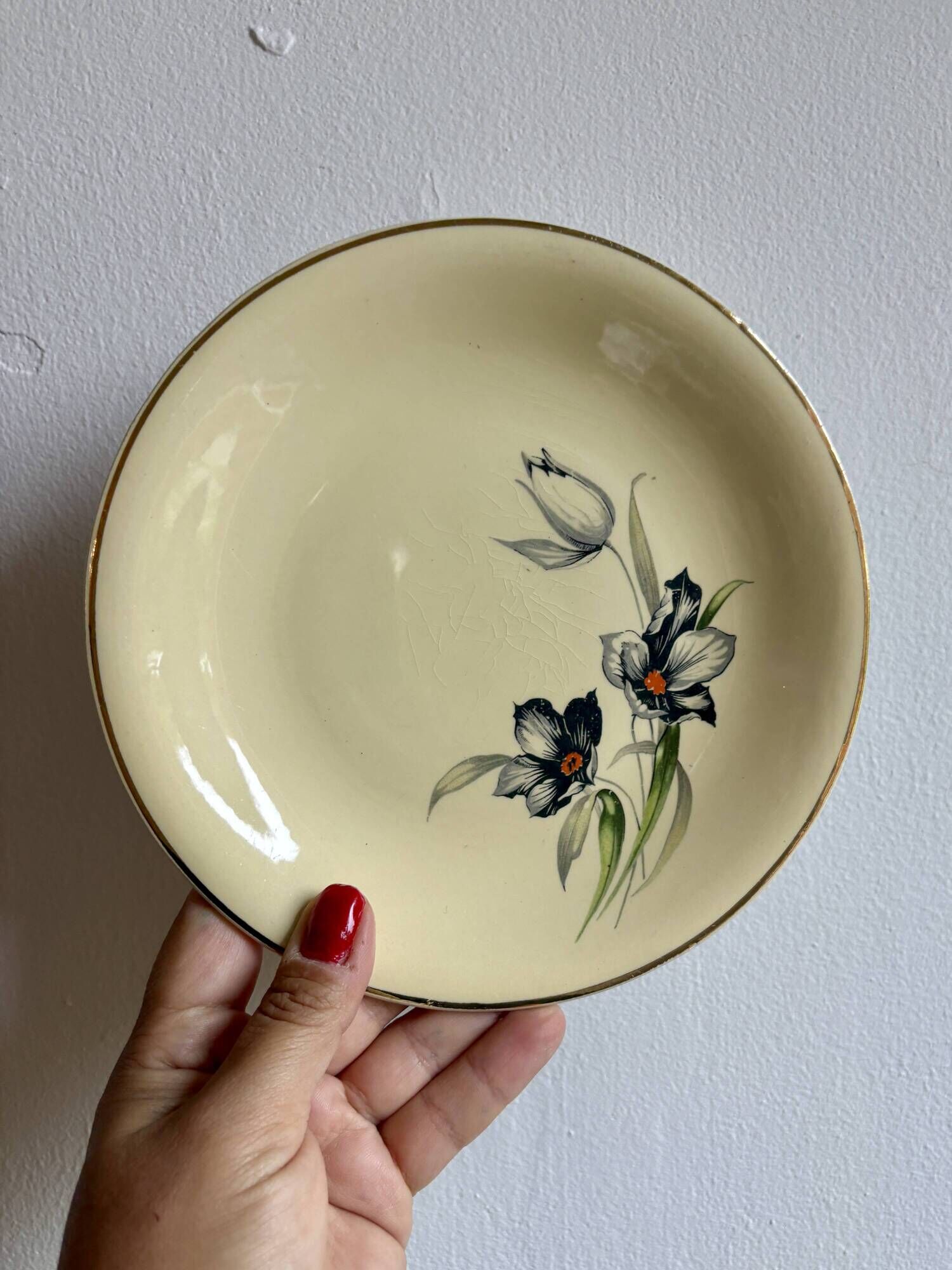 Set of 8 vintage dessert plates, Tulipe by Céranord