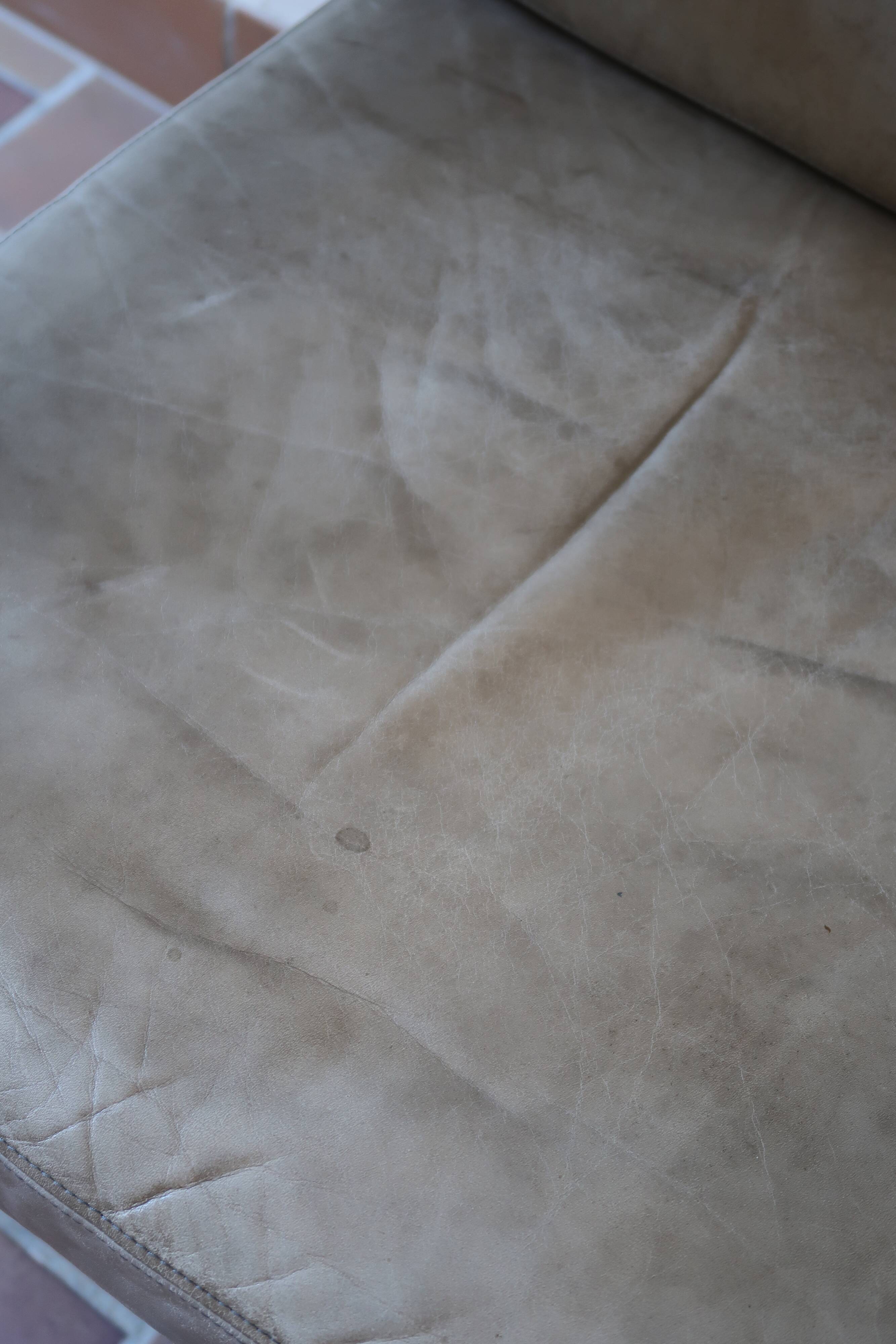 Hombre armchair by Burkhard Vogtherr for Rosenthal (4 available)