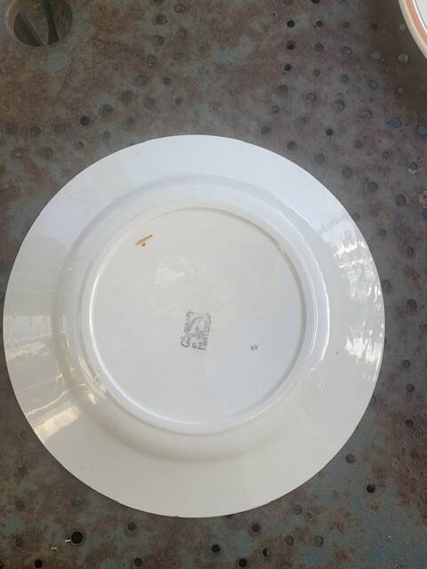 8 flat plates, Carnation model, art deco, CREIL ET MONTEREAU, floral pattern, old