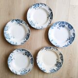 Deep plates (5) in earthenware from Saint Amand and Hamage, Terre de fer, Marie Louise model