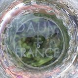 5 Vintage crystal glasses / goblets from Daum France - Height 8.2 cm