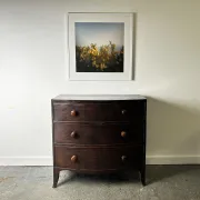 Antique Mahogany Bow Front Chest of 3 Drawers Georgian c1800-1830 Splay Fee