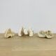 3 old white corals, coral