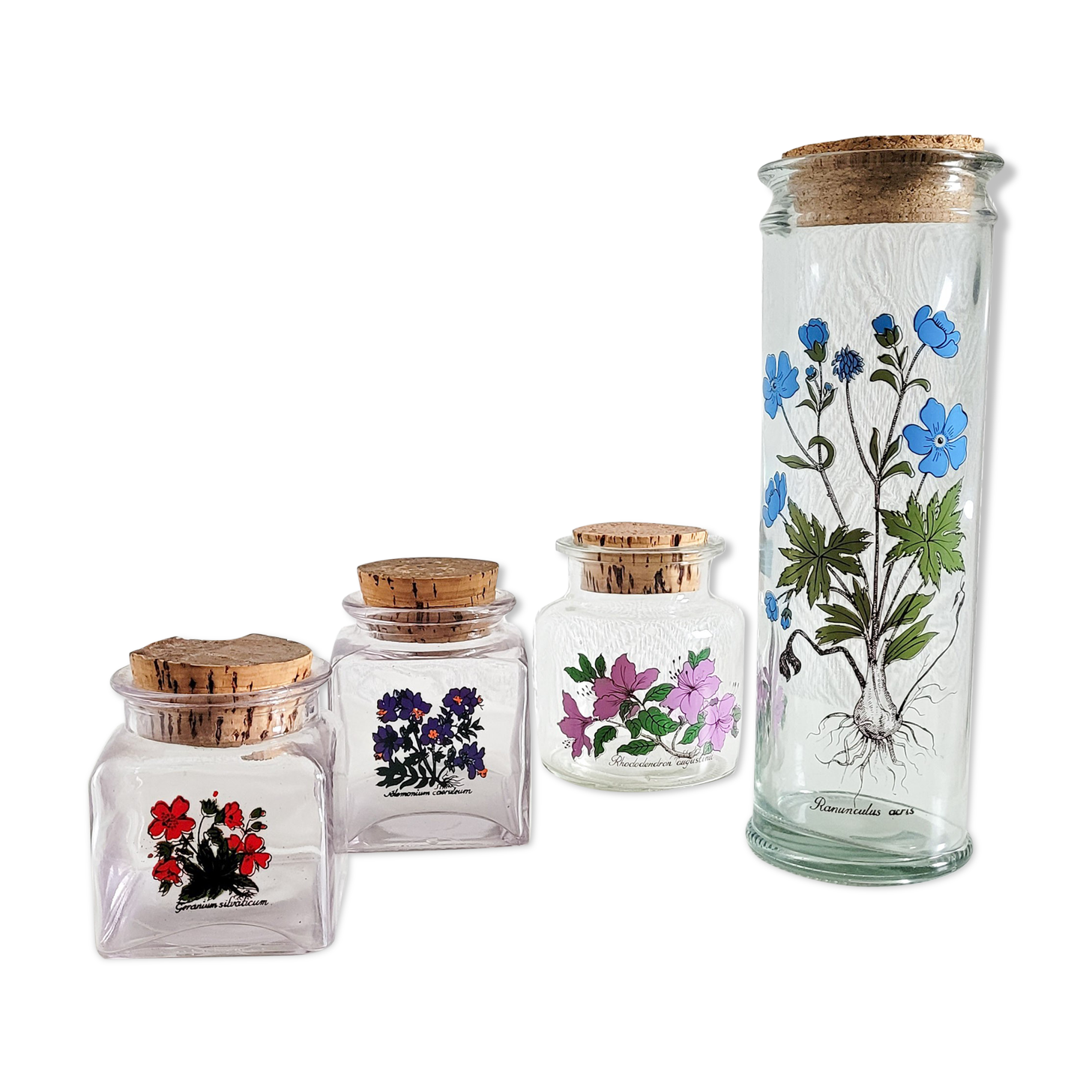 Batch of herbalism jars