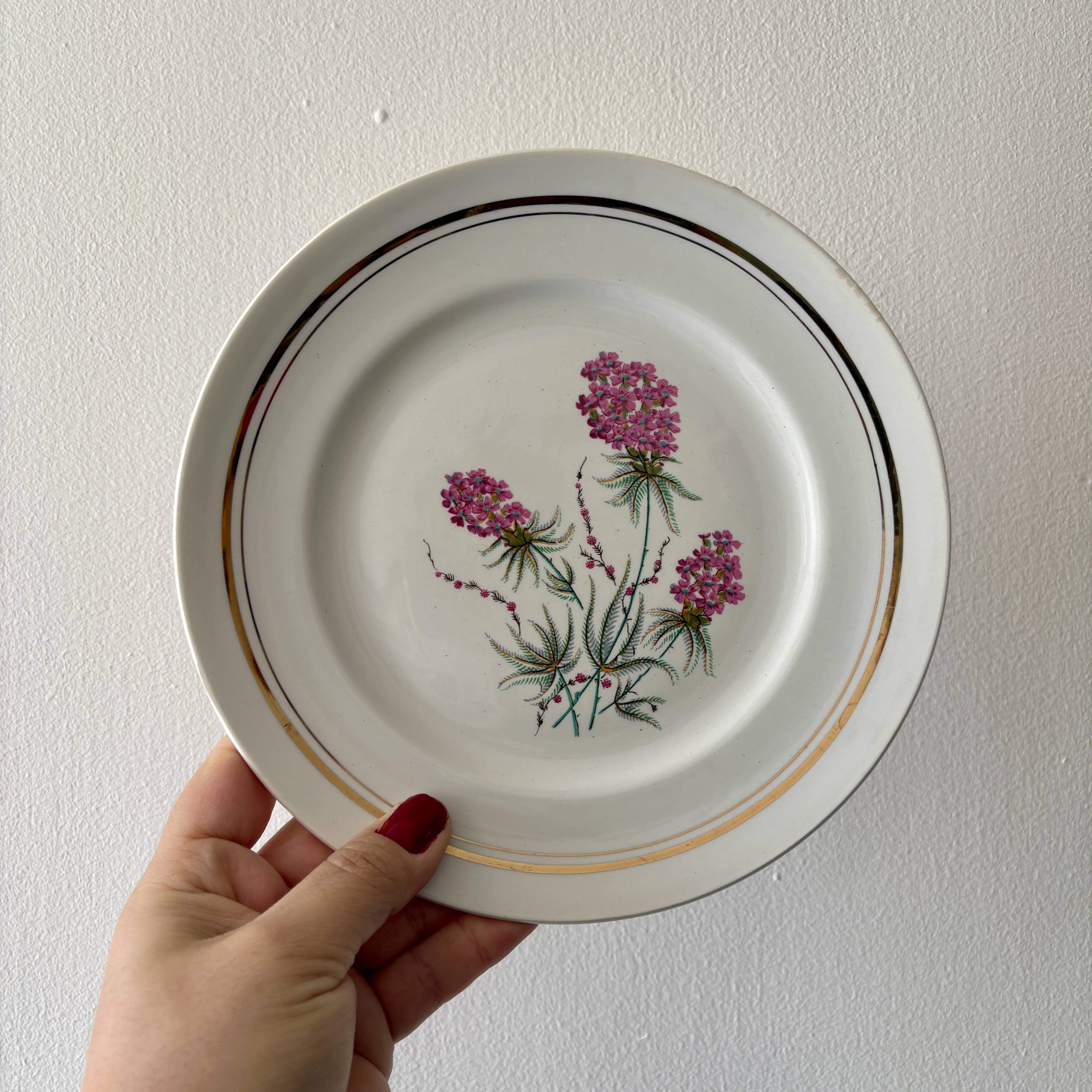 Set of 10 vintage dessert plates - Moulin des Loups