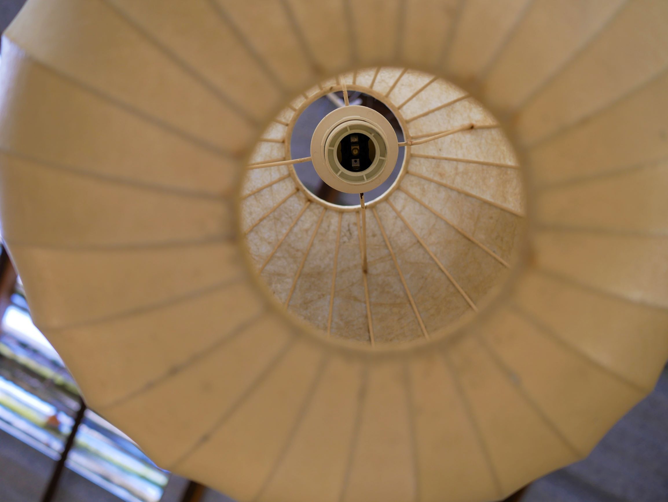 Hanging "Cocoon", 60 years