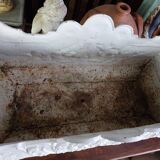 Cast iron planter Napoleon III lion's feet