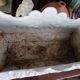Cast iron planter Napoleon III lion's feet